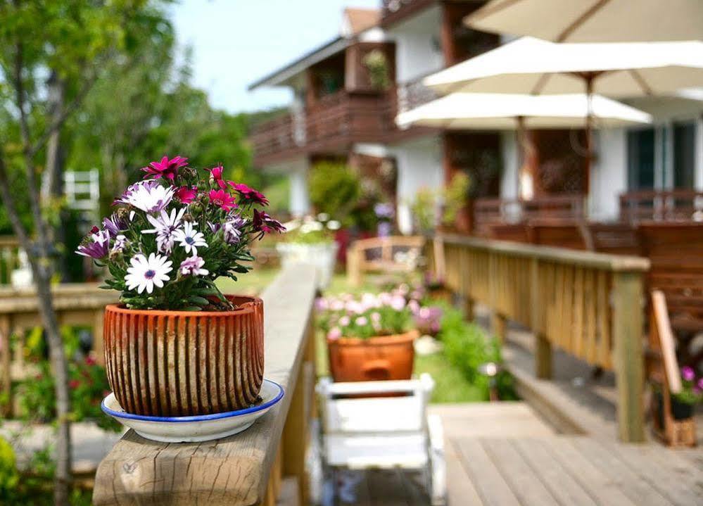 Spa Pension Basso Sokcho Exterior photo
